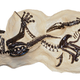 Illustration for article titled The Bonhams Natural History Auction UPDATED